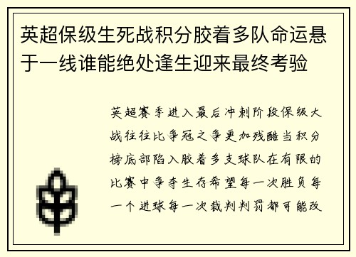 英超保级生死战积分胶着多队命运悬于一线谁能绝处逢生迎来最终考验 英超保级生死战积分胶着多队命运悬于一线谁能绝处逢生迎来最终考验